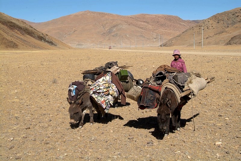 tibet5 024-nomaden-in-derkargenlandschaft