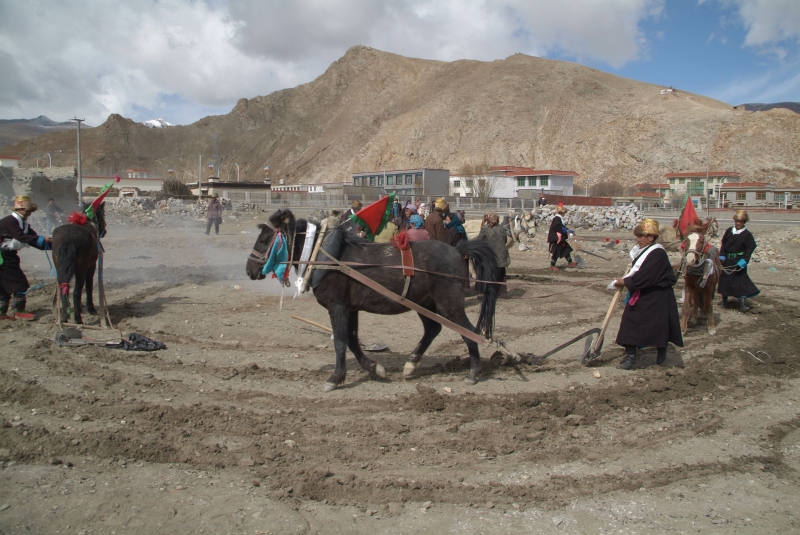 wandern in tibet 047 tsampa fest in nangartse.JPG	