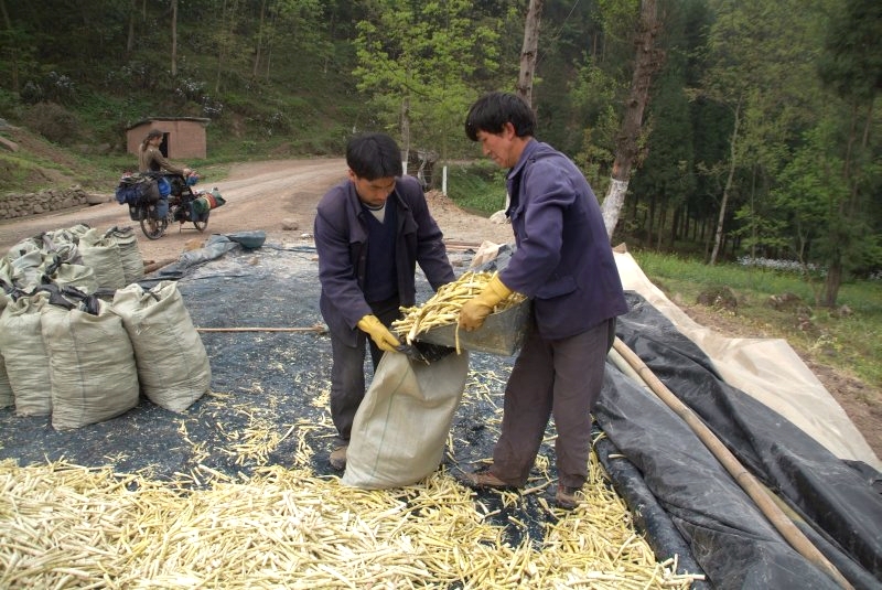 china3 014 maenner bei der arbeit