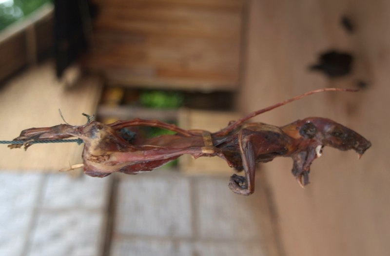 Laos: Laotischer Fleischspiess