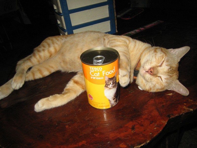 Thailand Grossstadtmoloch und Inselleben 017