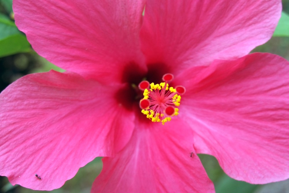 Sumatra Indonesien Hello Mister 017